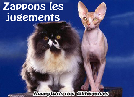 loi-jugements-blog