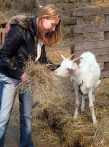 la chèvre qui rit – sas-ho
