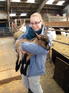 la chèvre qui rit – sas-ho